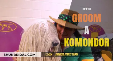 Mastering the Art of Komondor Grooming: A Comprehensive Guide