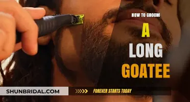 Mastering the Art of Grooming a Long, Luscious Goatee