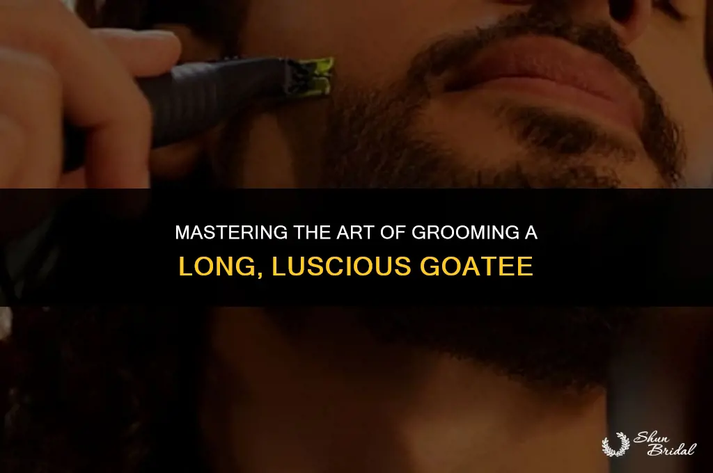 how to groom a long goatee