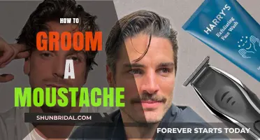 Mastering the Art of Moustache Grooming: A Comprehensive Guide