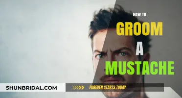 Mastering the Art of Mustache Grooming: A Comprehensive Guide