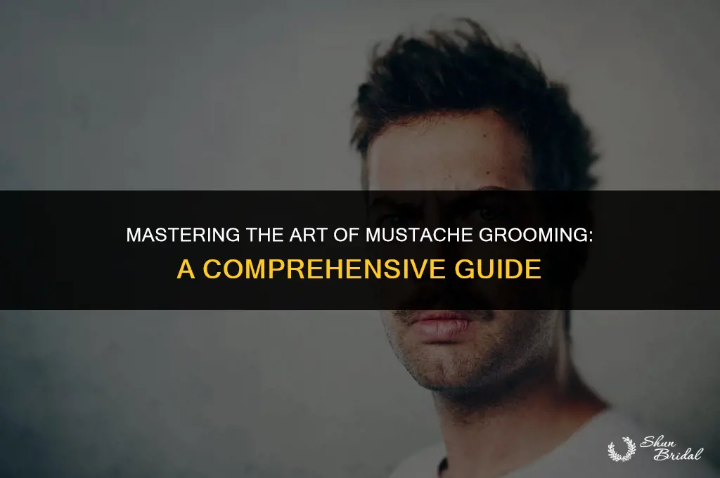 how to groom a mustache