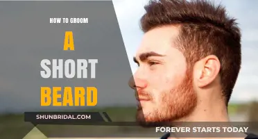 Mastering the Art of Grooming Your Short Beard: Tips and Tricks