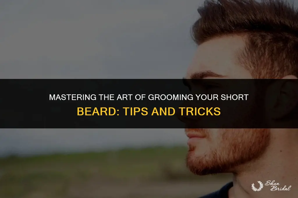 how to groom a short beard