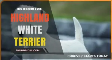 Essential Grooming Tips for Your West Highland White Terrier