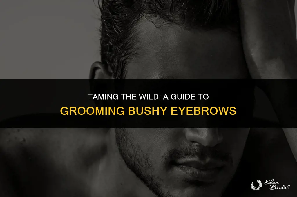 how to groom bushy eyebrows