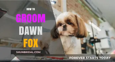 Mastering the Art of Grooming: A Guide to Dawn Fox Care