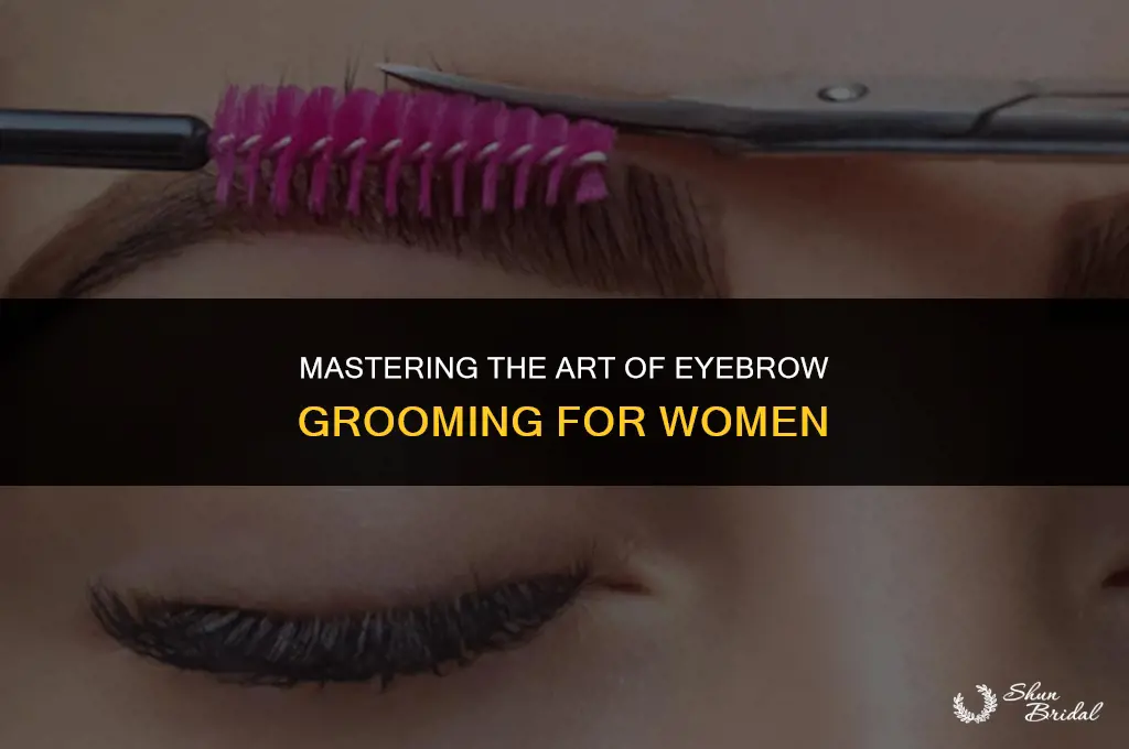how to groom eyebrows women