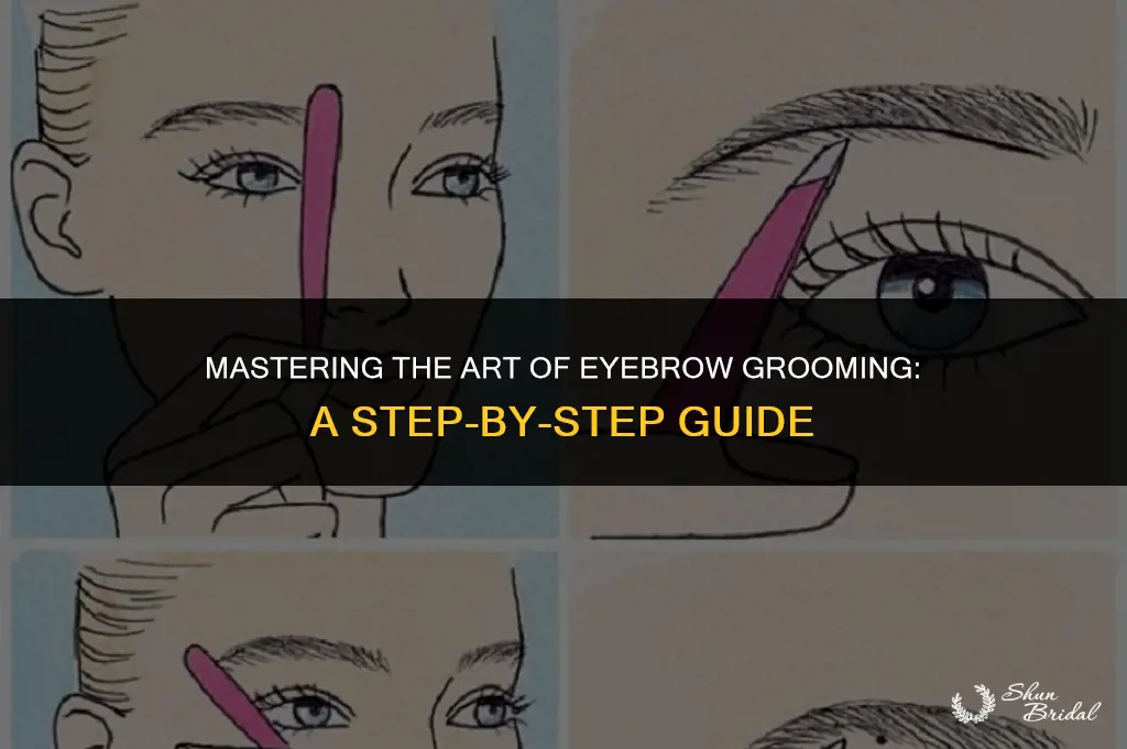 how to groom eyebrows