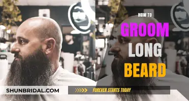 Mastering the Art of Long Beard Grooming: Tips and Tricks
