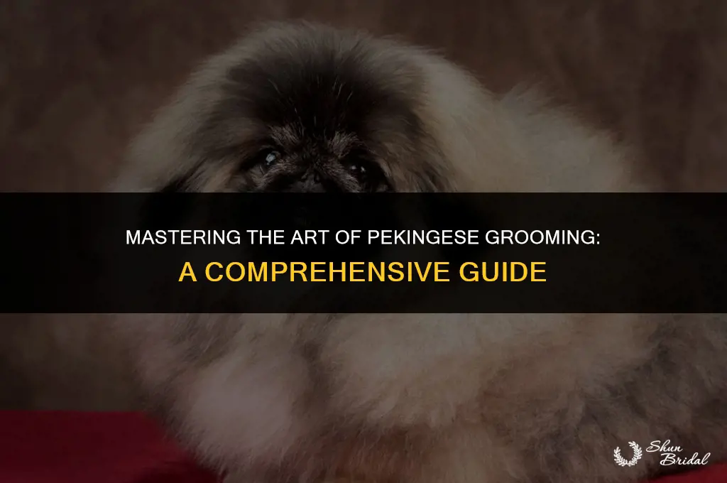 how to groom pekingese