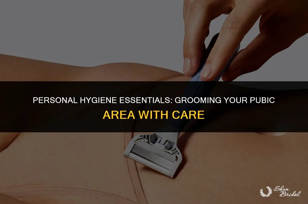 how to groom pubic area