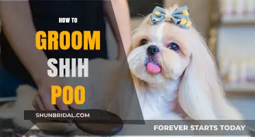 Mastering Shih Poo Grooming: A Comprehensive Guide for Pet Owners