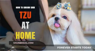 Mastering Shih Tzu Grooming: A Step-by-Step Home Guide