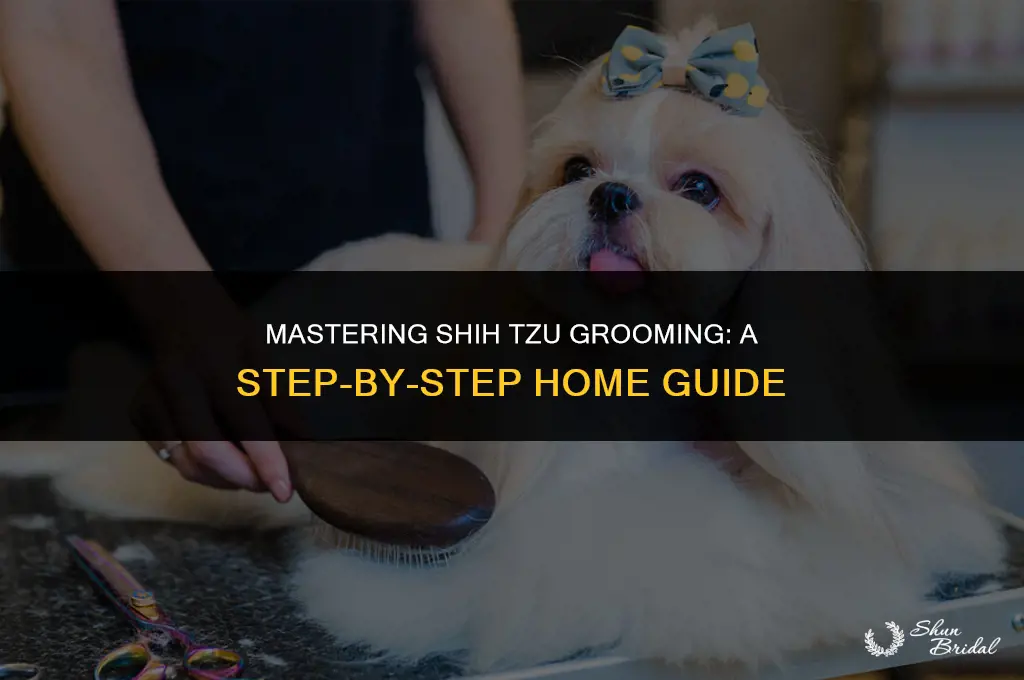 how to groom shih tzu at home