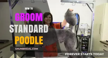 Mastering the Art of Grooming Your Standard Poodle: A Comprehensive Guide