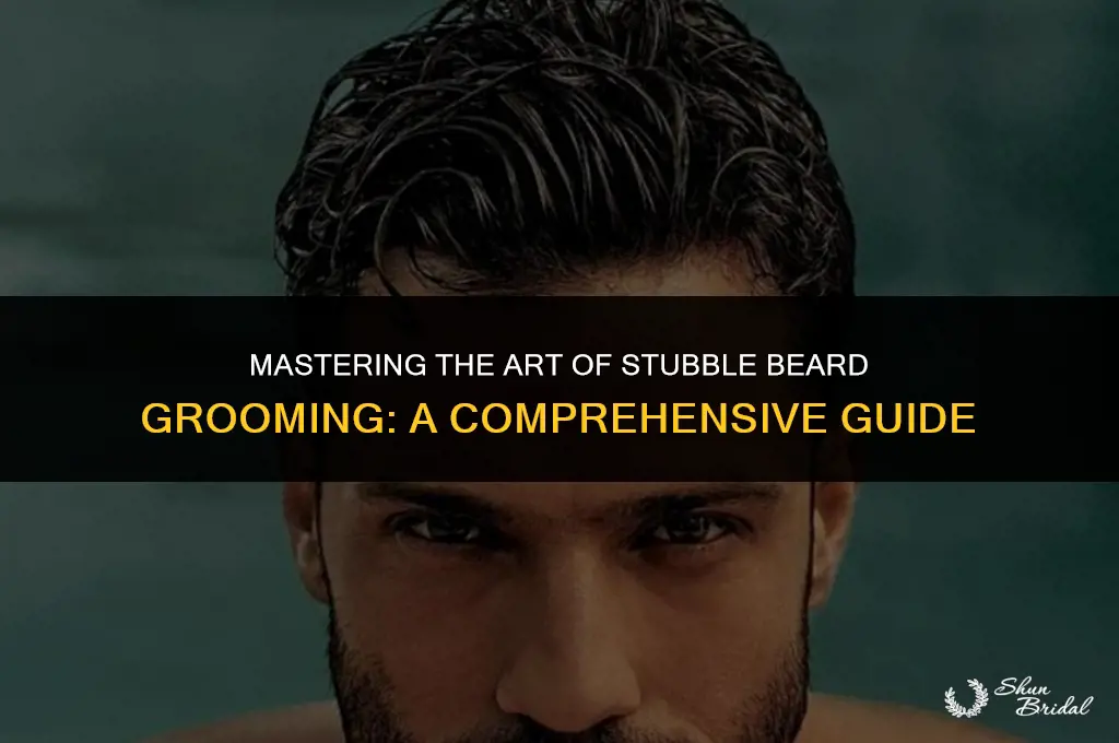 how to groom stubble beard
