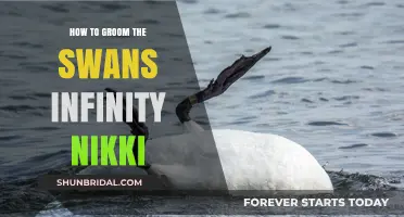 Mastering Swan Grooming: A Guide to Nikki's Infinity Technique