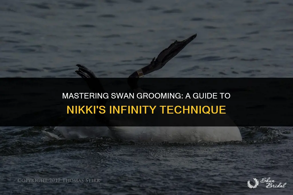how to groom the swans infinity nikki