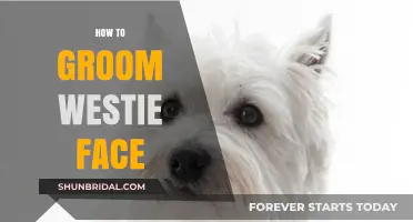 Mastering the Art of Westie Facial Grooming: A Step-by-Step Guide