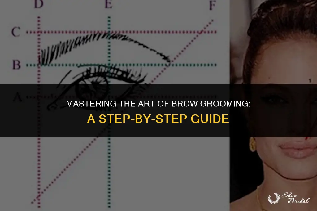 how to groom your brows