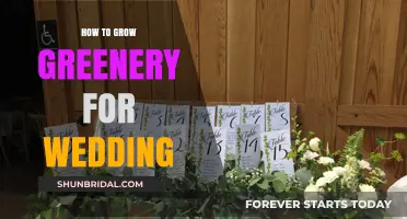 Growing Wedding Greenery: Tips for Lush, DIY Decorations