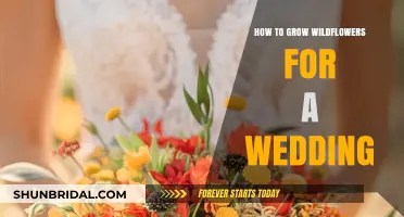 Growing Wildflowers for Your Wedding: A Step-by-Step Guide
