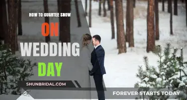 Ensuring a Winter Wonderland: Tips for Guaranteed Snow on Your Wedding Day