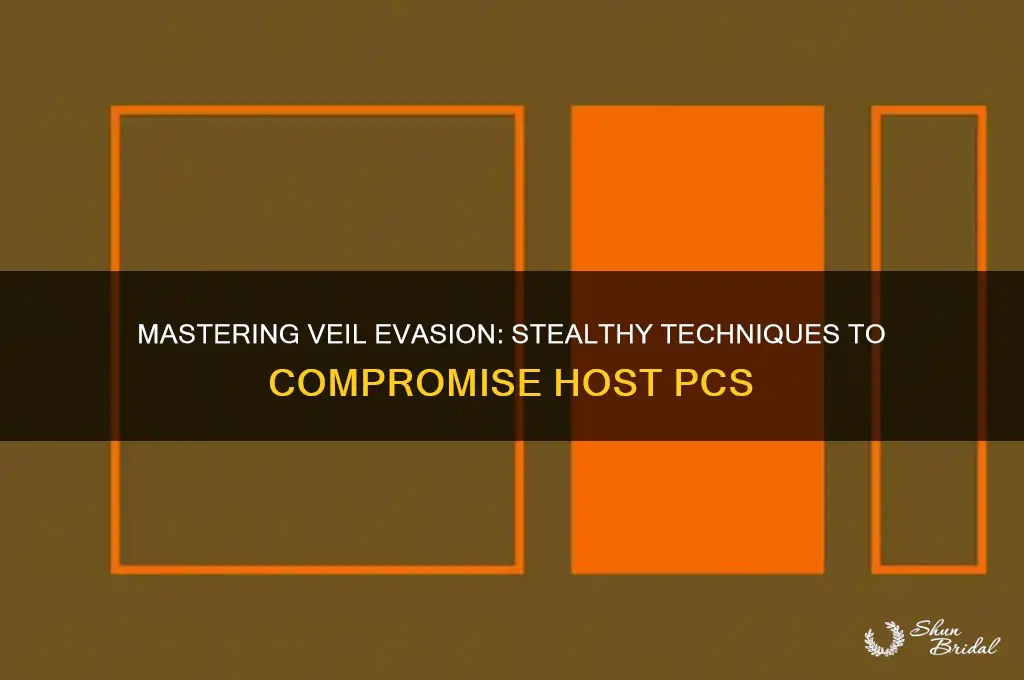 how to hack host pc using veil evasion