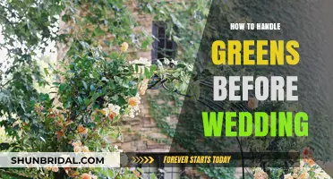 Pre-Wedding Greens Care: Tips for a Fresh and Vibrant Celebration
