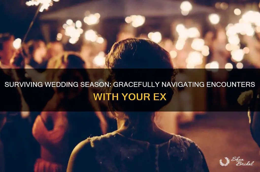 how to handle seeing your ex at a wedding