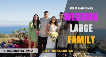 Intimate Wedding, Big Family: Balancing Love and Traditions Gracefully