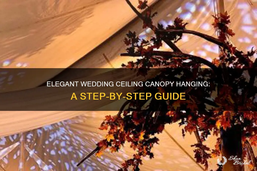 how to hang ceiling canopy for wedding