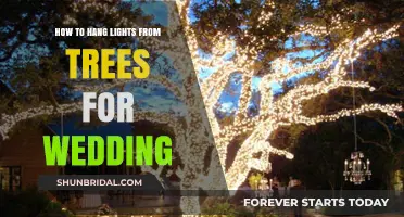 Elegant Tree Lighting Ideas for Your Dream Wedding Celebration