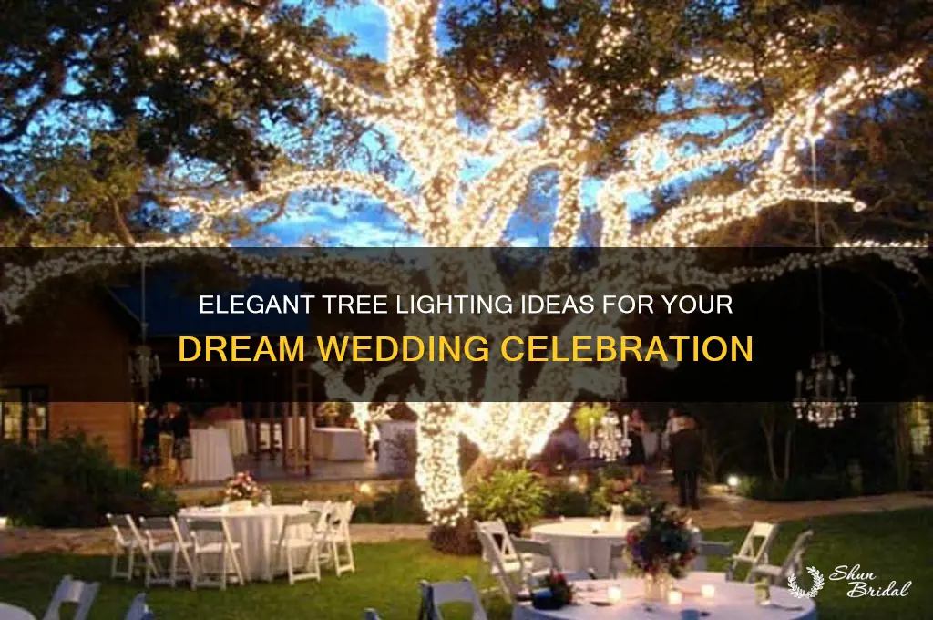 how to hang lights from trees for wedding