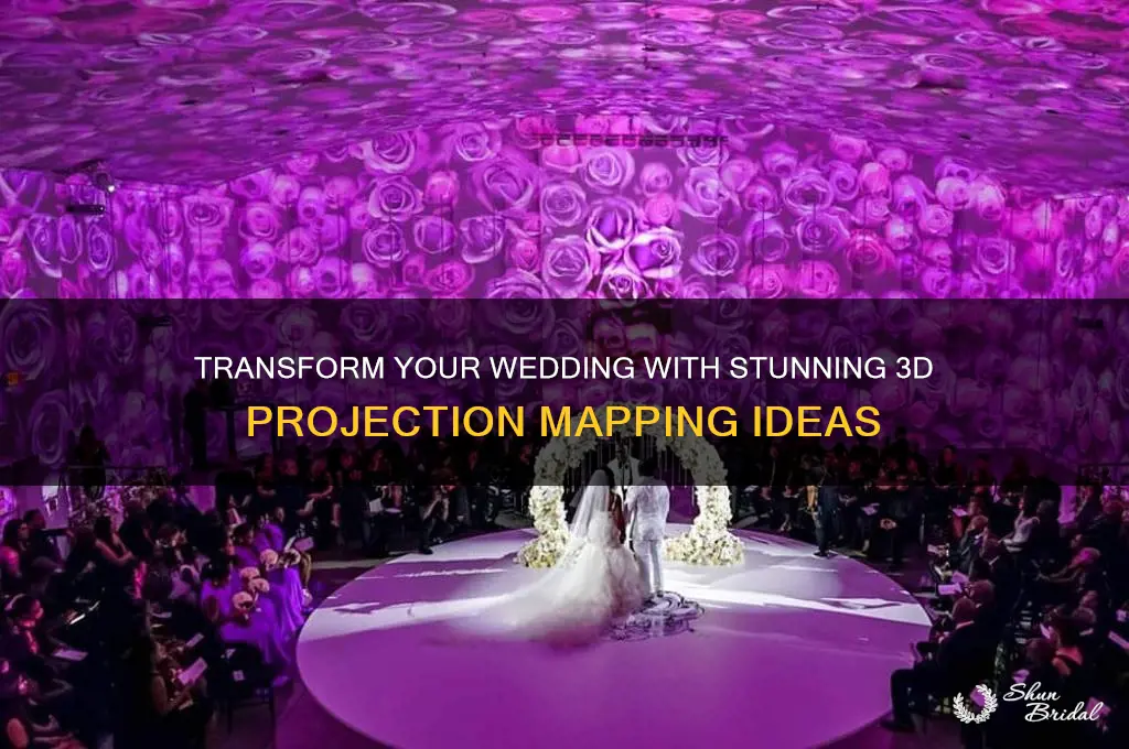 how to have 3d projection mapping in a wedding
