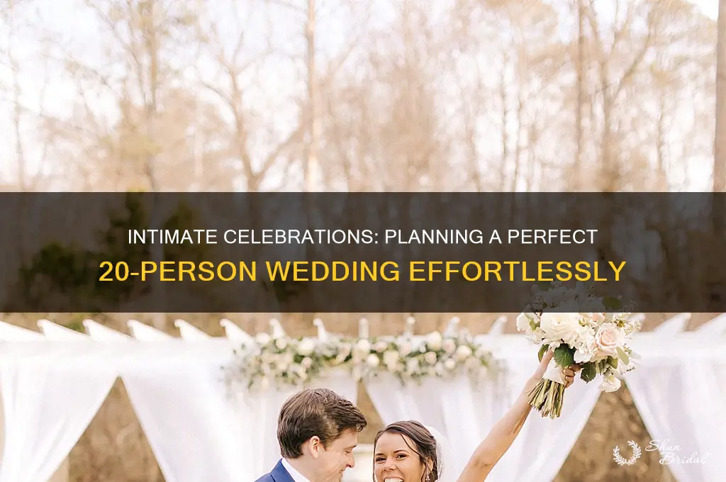 how to have a 20 person wedding