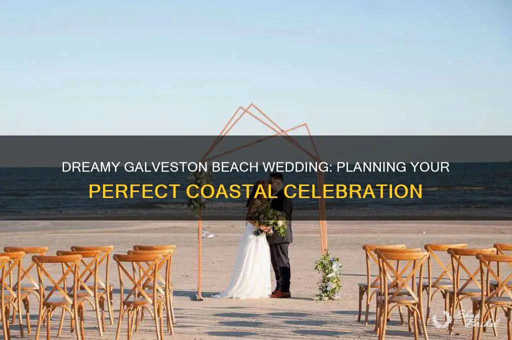 how to have a beach wedding in galveston
