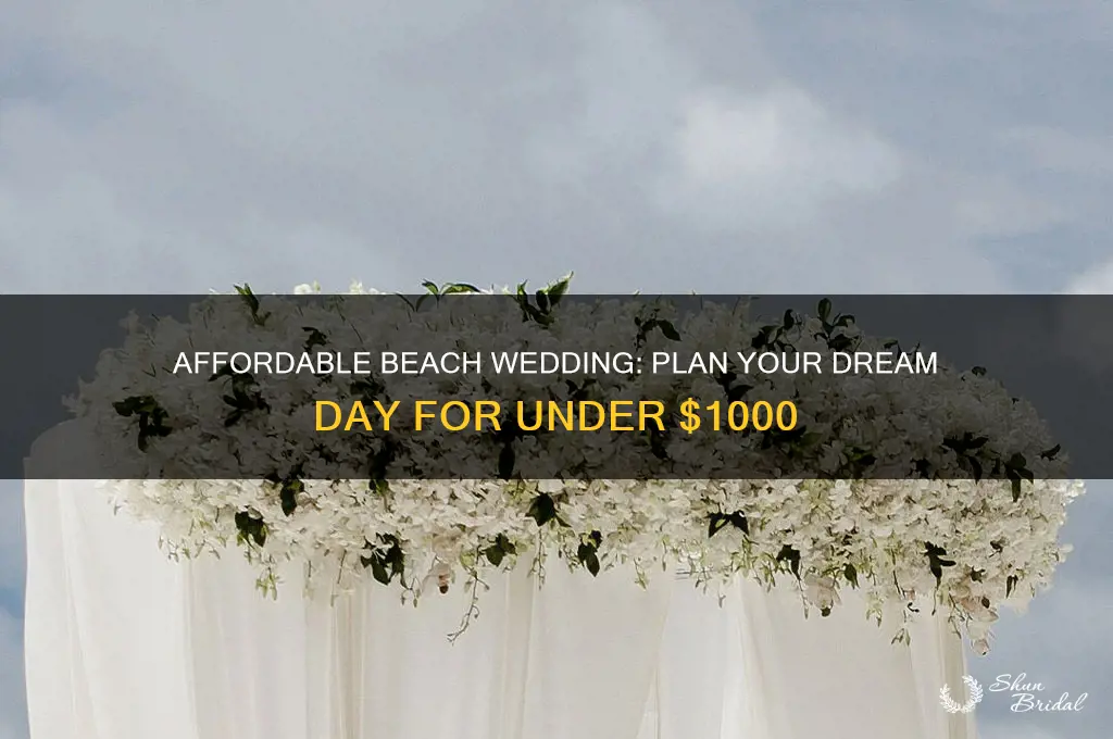how to have a beach wedding under 1000
