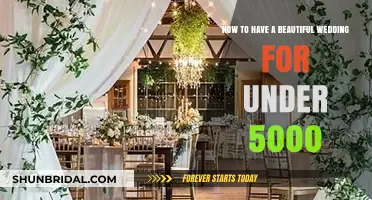 Budget-Friendly Wedding Bliss: Stunning Celebrations Under $5,000