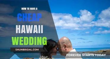 Affordable Hawaii Wedding: Tips for a Budget-Friendly Tropical Celebration