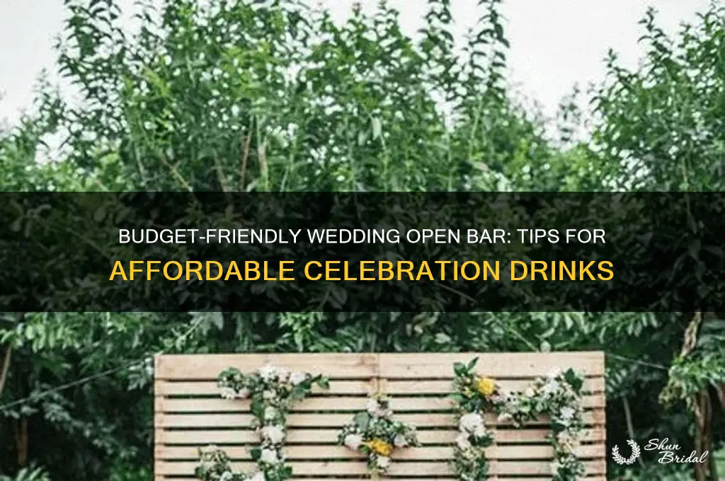 how to have a cheap open bar at a wedding