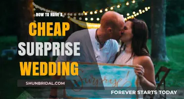 Budget-Friendly Surprise Wedding: Tips for a Memorable, Affordable Celebration