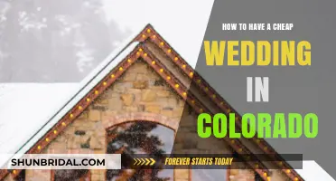 Budget-Friendly Colorado Wedding: Tips for Affordable Mountain Celebrations
