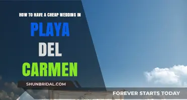 Budget-Friendly Playa del Carmen Wedding: Tips for Affordable Tropical Nuptials