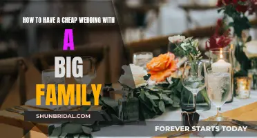 Big Family, Small Budget: Strategies for a Cost-Effective Wedding