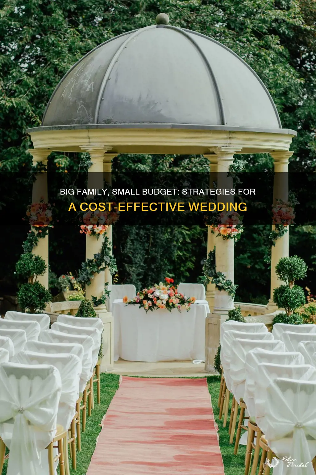 how to have a cheap wedding with a big family