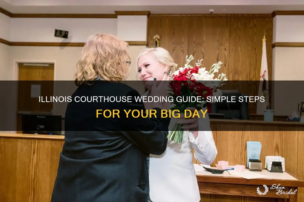 how to have a courthouse wedding in Illinois