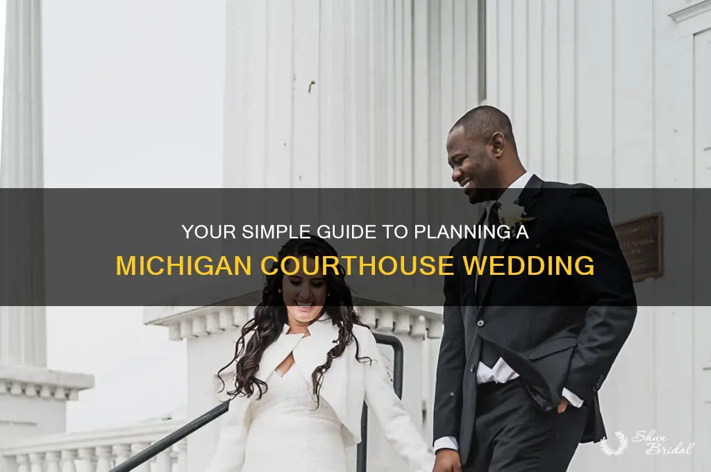 how to have a courthouse wedding in Michigan