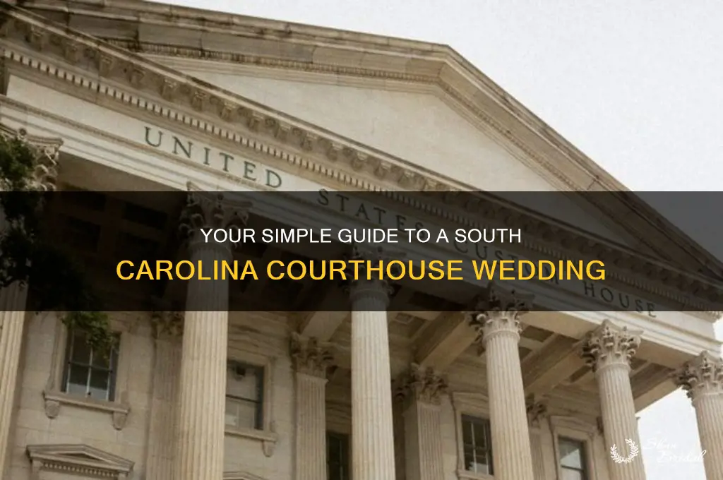 how to have a courthouse wedding in South Carolina